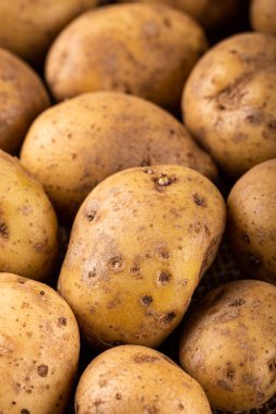 Çiğ organik patates.