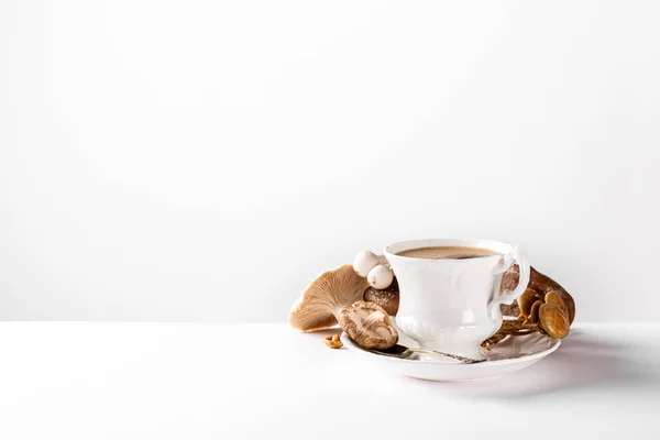Mushroom Chaga Coffee Superfood, fresh mushrooms and coffee in white porcelain vintage cup over white background. New Superfood Trend. Copy space, selective focus.