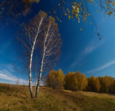 panorama dikişli. sonbahar manzarası.