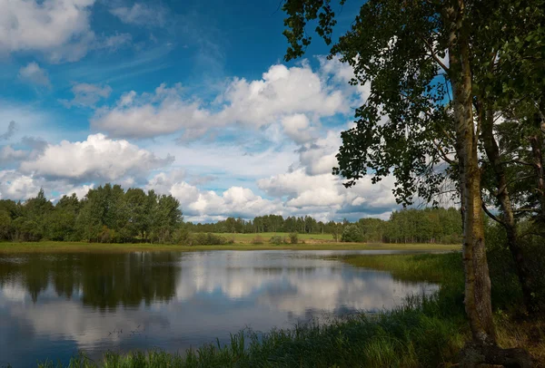 Krásný cloudscape scéna u rybníka — Stock fotografie