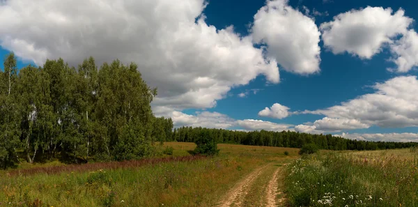 Zomer landschap — Stockfoto