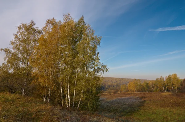 Autumn landscape — Stock Photo, Image