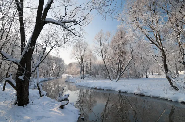 Zimowa scena nad rzeką — Zdjęcie stockowe