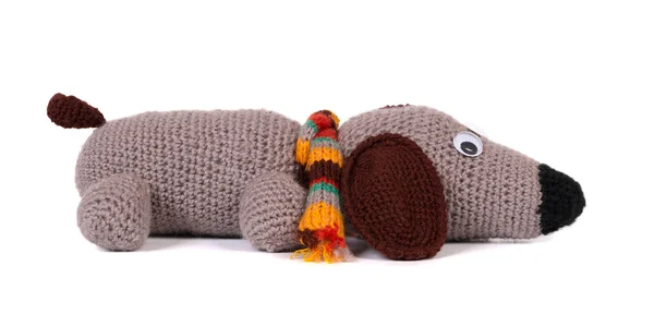 Knitted toy. Dachshund — Stock Photo, Image