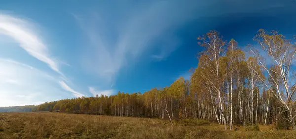 Sešívané panorama. podzimní krajina. — Stock fotografie