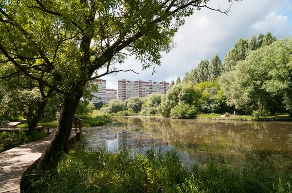 Vijver in Moskou — Stockfoto