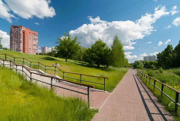 Sentiero asfaltato nel parco cittadino — Foto Stock