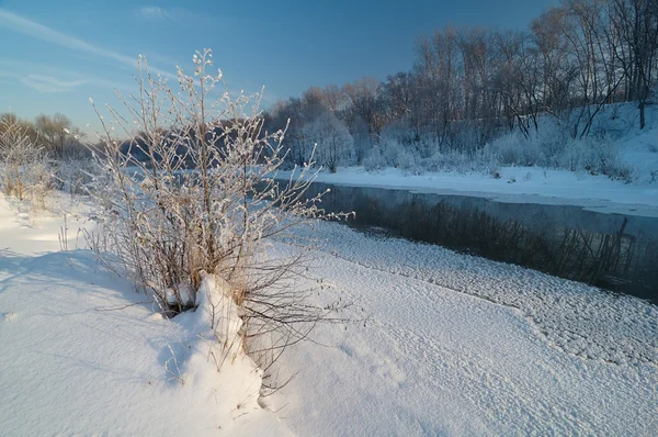 Cold morning on the river — Stock Photo, Image