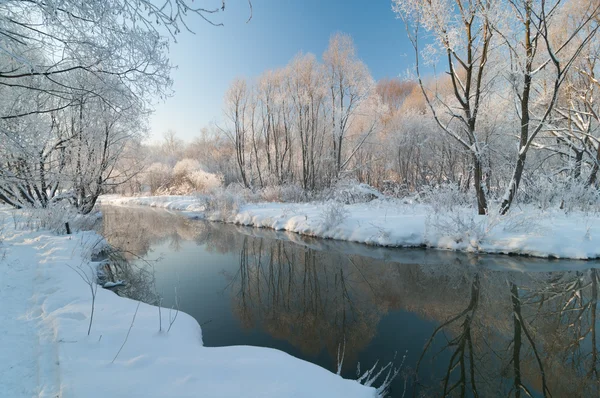 Manhã calma do inverno — Fotografia de Stock