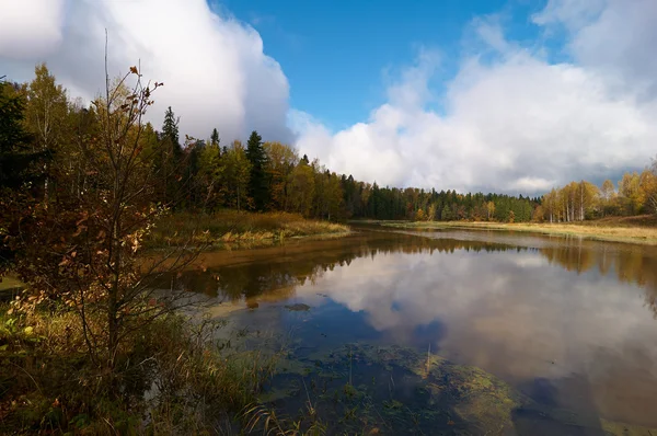 Podzimní waterscape — Stock fotografie