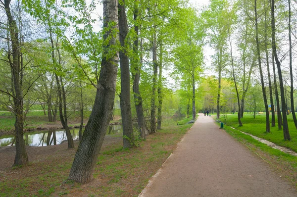 Two people walk in the park — Stock Photo, Image