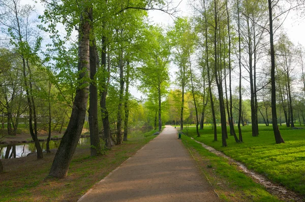 Park in het voorjaar van — Stockfoto