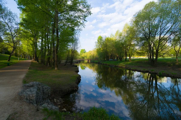 Rano nad rzeką — Zdjęcie stockowe