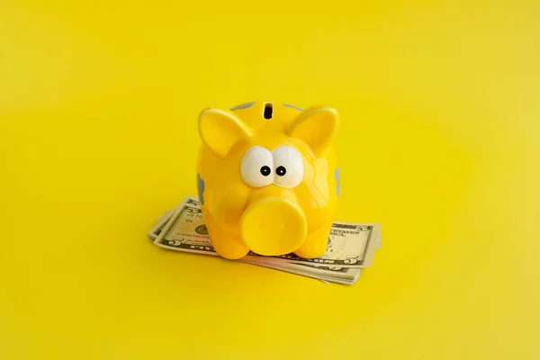 Piggy Bank Dinheiro Notas Dólares Num Fundo Amarelo Conceito Poupar — Fotografia de Stock
