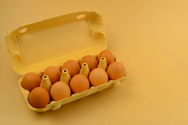 Hen eggs on cardboard box, copy space. Ten eggs brown color in egg box. Easter eggs. Healthy food