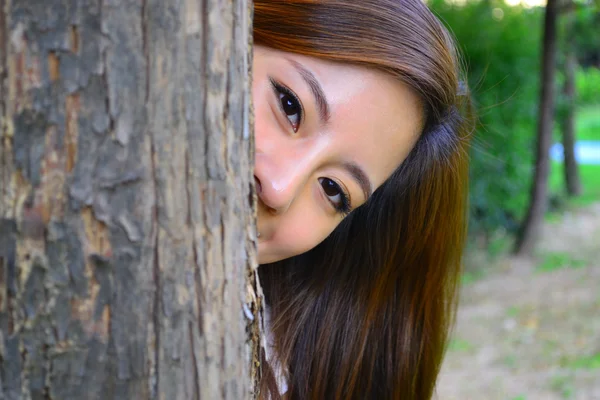 Escondido atrás da árvore — Fotografia de Stock