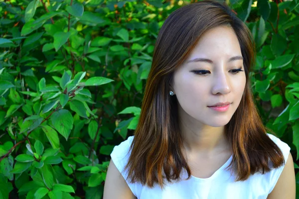 Attraktive junge asiatische Frau Porträt — Stockfoto