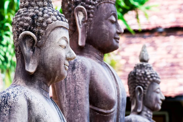 Taş Buda heykellerinin yan yüzleri