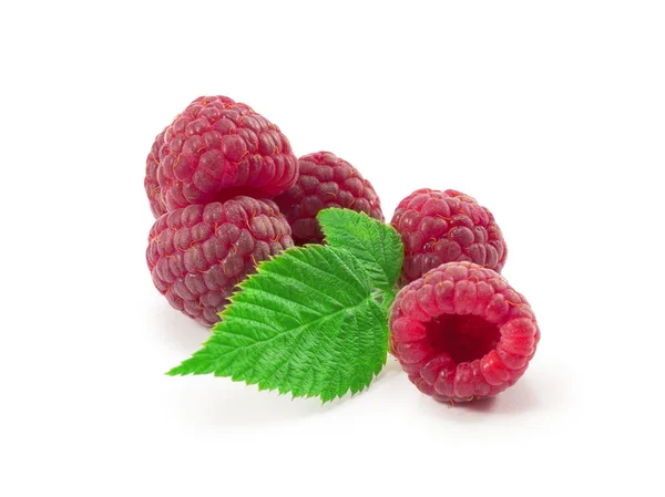 Himbeeren — Stockfoto