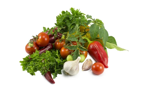 Peppers, tomatoes, garlic, parsley — Stock Photo, Image