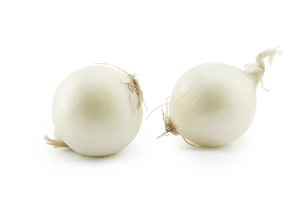 Λευκό κρεμμύδι — Φωτογραφία Αρχείου
