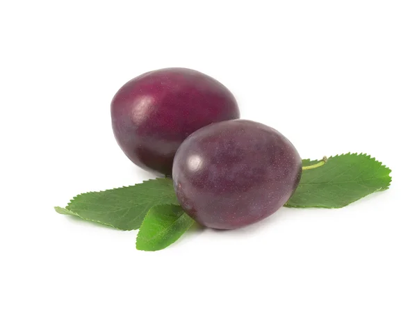 Two ripe plums — Stock Photo, Image