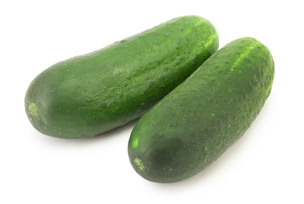 Two green cucumber — Stock Photo, Image