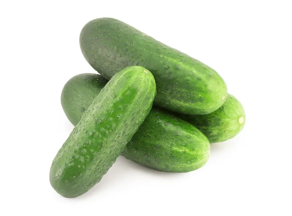 Fresh cucumbers — Stock Photo, Image