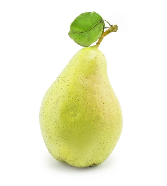 Päärynä vihreä lehti — kuvapankkivalokuva