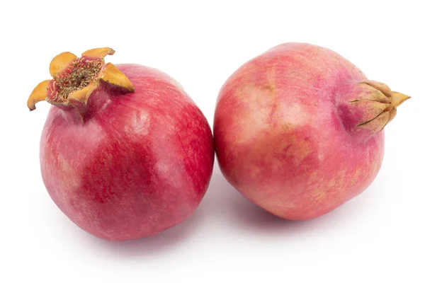 Pomegranate — Stock Photo, Image