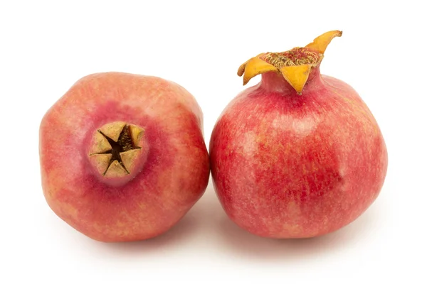 Pomegranate — Stock Photo, Image