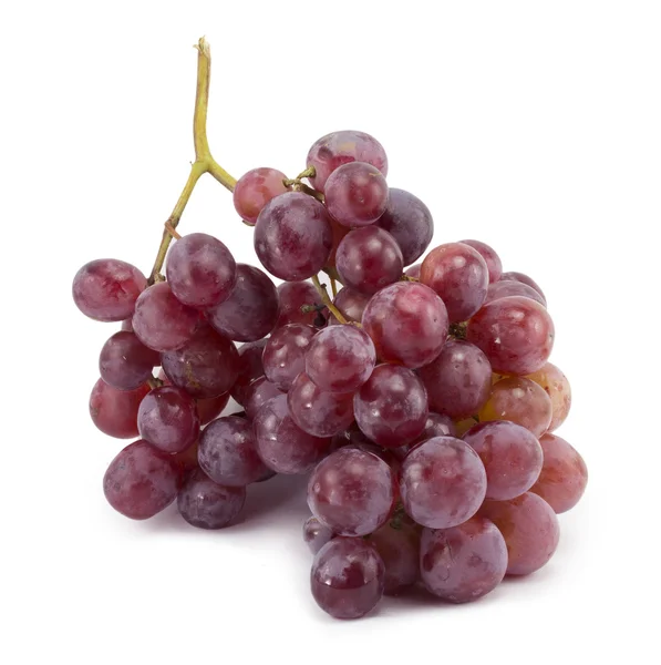 Bunch of blue grapes — Stock Photo, Image