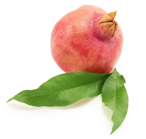 Granátové jablko — Stock fotografie
