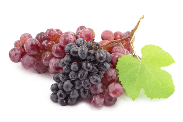 Bunch of blue grapes — Stock Photo, Image