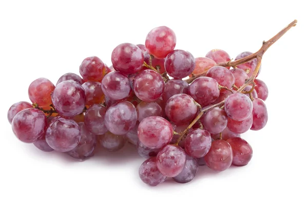 Bunch of blue grapes — Stock Photo, Image