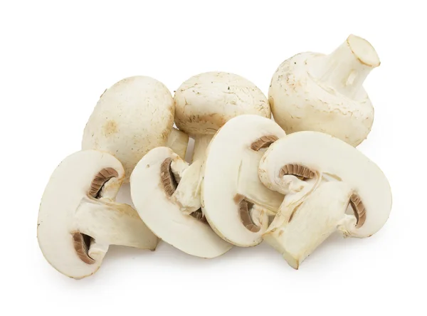 Fungo Champignon — Foto Stock