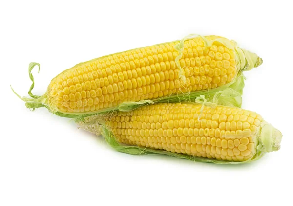 Corn — Stock Photo, Image