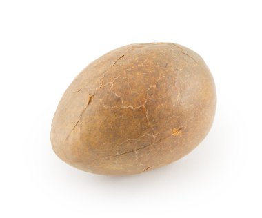 Avokado çukur