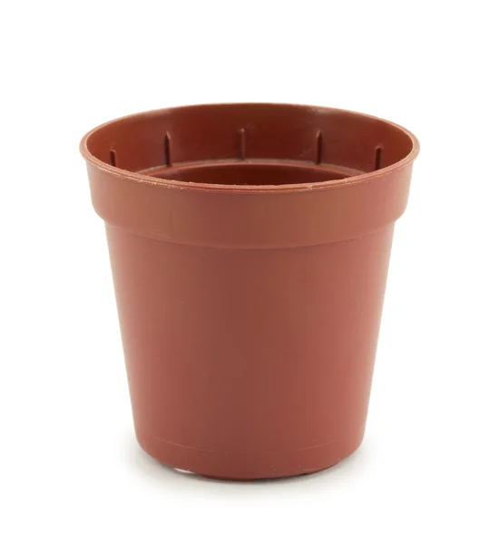 Plastic disposable container flowerpot — Stock Photo, Image