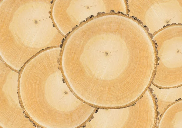 yakın çekim ahşap kesim dokusu