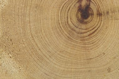 yakın çekim ahşap kesim dokusu