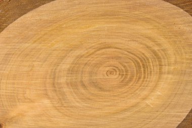 yakın çekim ahşap kesim dokusu