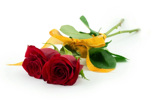 Red Rose — Stock Photo, Image