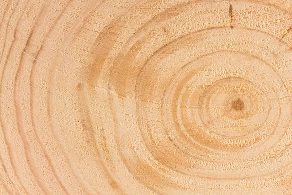 Γκρο πλαν ξύλινη κομμένη υφή — Φωτογραφία Αρχείου