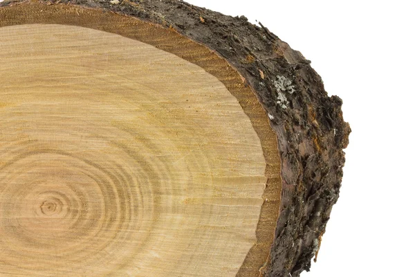 Close-up textura de corte de madeira — Fotografia de Stock