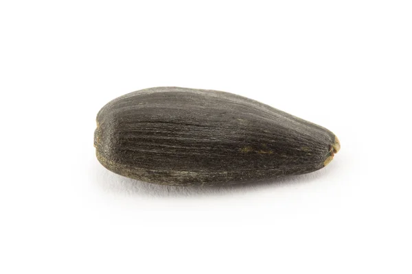 Seed, sunflower — Stock Photo, Image