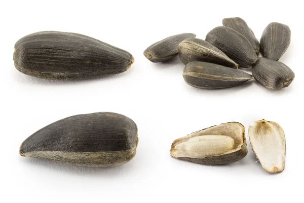 Seed, sunflower — Stock Photo, Image