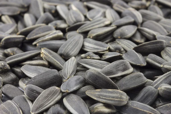 Seed, sunflower — Stock Photo, Image