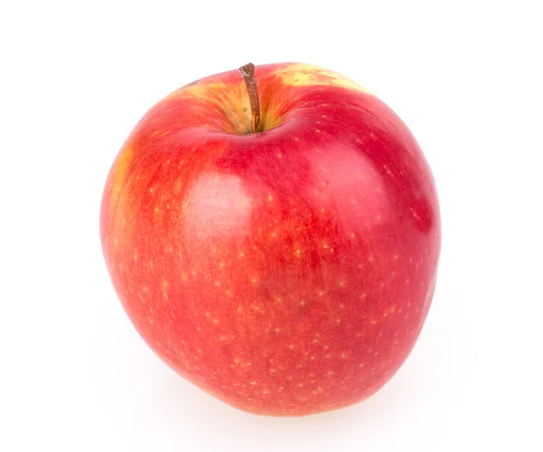 Apple — Stock Photo, Image