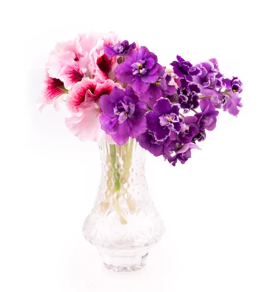 Violet and geranium flowers — Stock Photo, Image